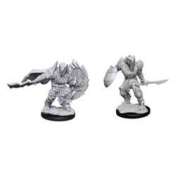 Nolzur's Marvelous Miniatures (unpainted): Dragonborn Fighter Male