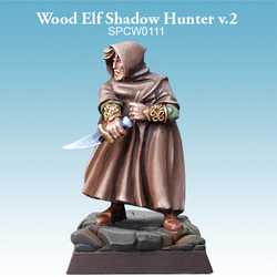Wood Elf Shadow Hunter v.2