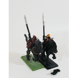 Dark Elves: Dark Riders (2st, Metall)