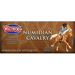 Victrix 28mm: Numidian Cavalry