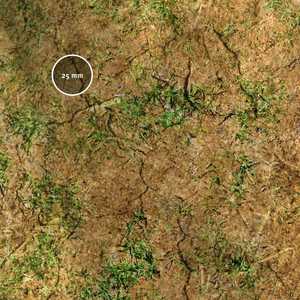 PWork Wargames Mat: Woodland 44x60" (~112x153cm) (Neoprene)